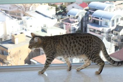 IMG_3621.jpg