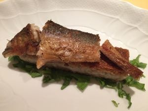 IMG_5090.jpg